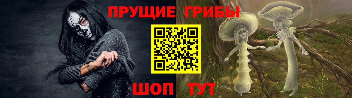 Псилоцибиновые грибы прущие грибы  цены   Кстово  Вход с VPN 